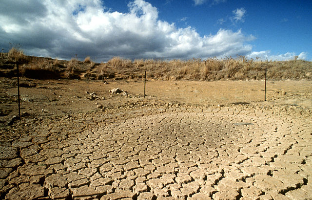 Drought - Author Plant Industry, CSIRO