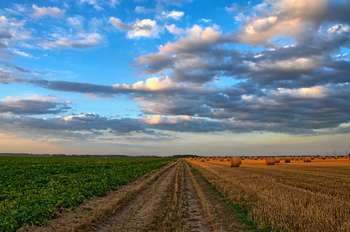 Agricoltura - Pixabay