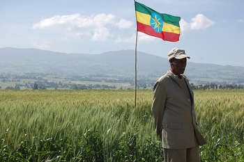 Ethiopia - Photo credit: CIMMYT via Foter.com / CC BY-NC