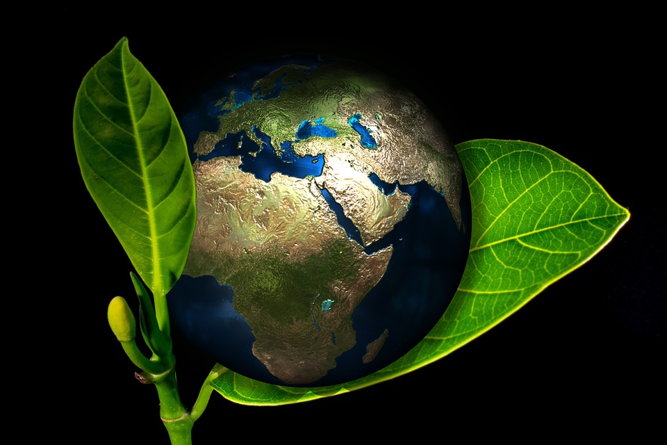 Green Economy - Pixabay