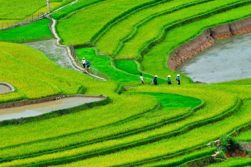 Agroalimentare, Vietnam - Photo by Haikeu on Foter.com / CC BY-NC-SA