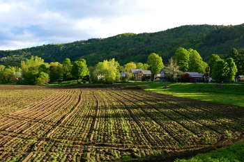Politica agricola comune - photo credit: liz west