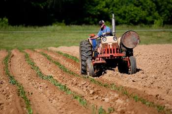 Agricoltura - Photo credit: John Lambeth da Pexels
