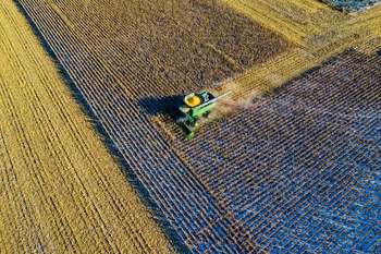 Agricoltura - Foto di Tom Fisk da Pexels