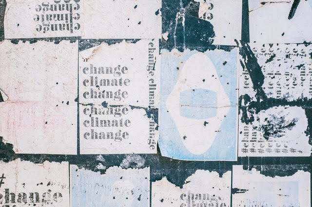 Cambiamento climatico - Foto di Daria Shevtsova da Pexels