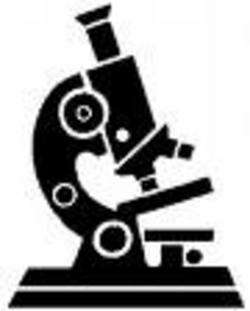 Microscopio - immagine di Musaromana