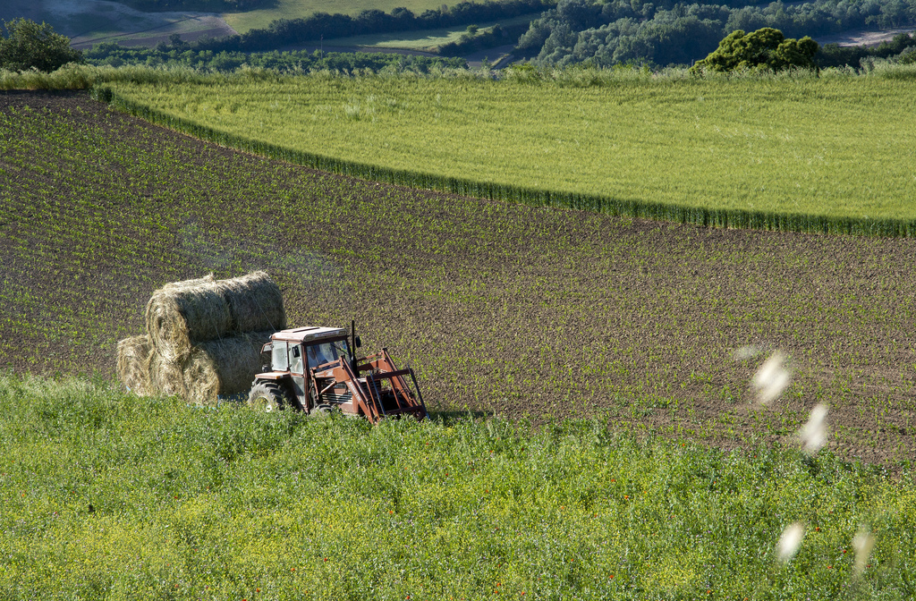 Agricoltura - Author: pasqualefiorillo / photo on flickr 