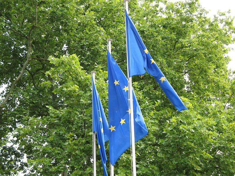 European Flags - Foto di Elwood j blues